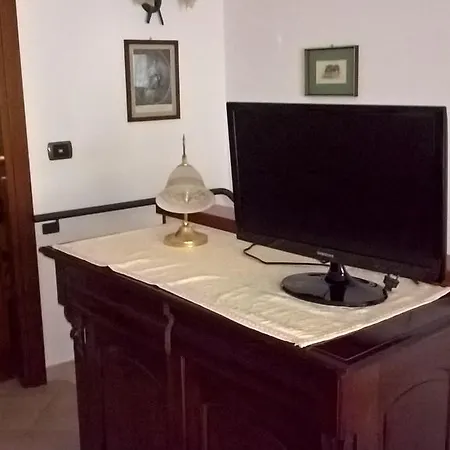 Tulipano