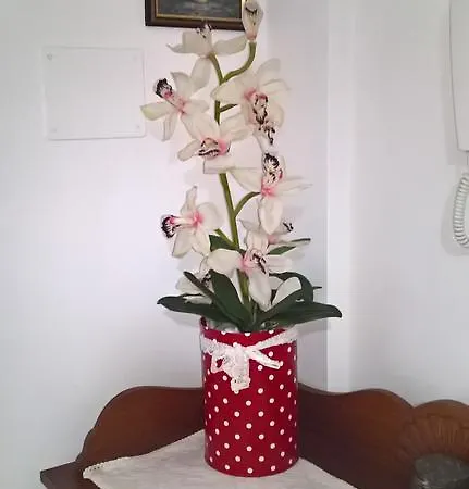 Apartament Tulipano Alghero