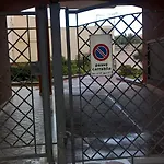 Tulipano Αλγκέρο