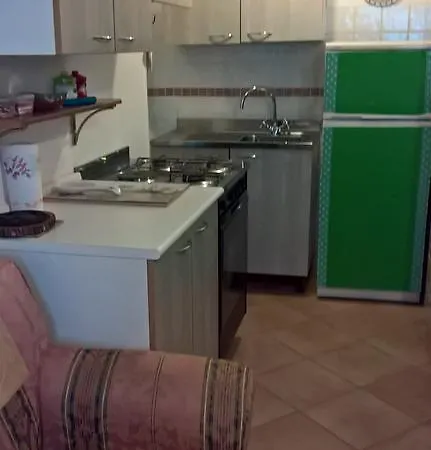 Tulipano אלגהרו