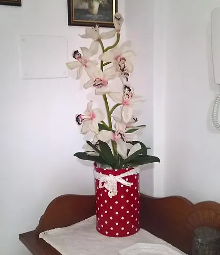 Appartement Tulipano Alghero